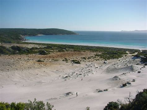 Free picture: two, headlands, porirua, harbour, entrance