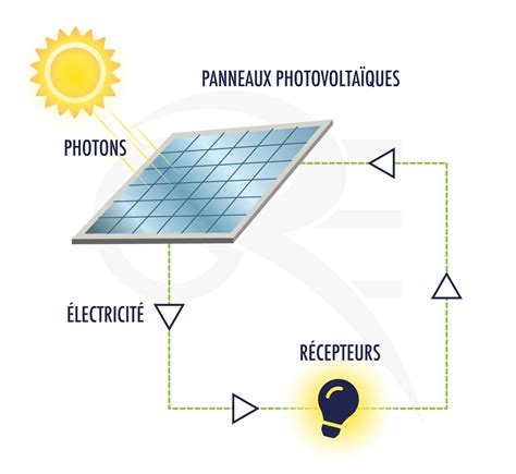 Tout Savoir Sur Le Panneau Photovoltaïque Groupe Roy Énergie