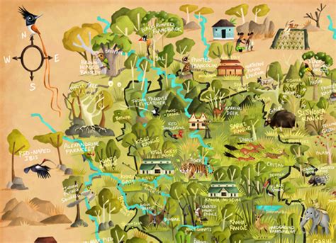 Green Humour: Kanha Tiger Reserve- an illustrated map