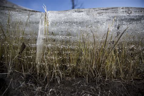 Deadly Winters Climate Change Spell Doom For Mongolian Herders South