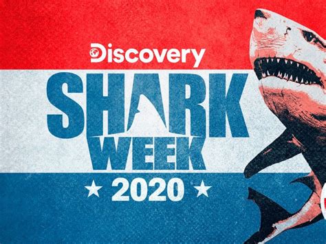 How To Watch Shark Week 2020 Stream The Entire Event Live From