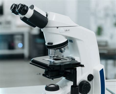 What Is a Compound Microscope & What Is It Used For? - Optics Mag