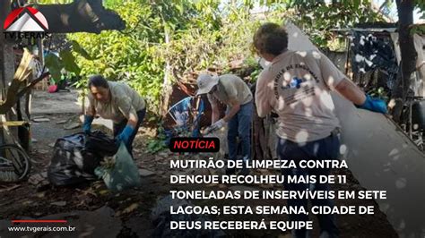 Mutir O De Limpeza Contra Dengue Recolheu Mais De Toneladas De