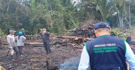 Ucayali Fiscal A Dirige Operativo Contra Tala Ilegal De Bosques E