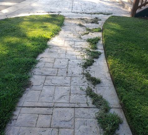 lawn edging | Pro 1 Landscaping