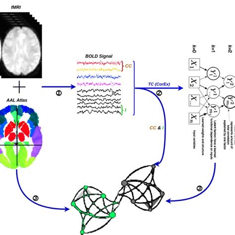 A Flowchart For The Construction Of A Functional Brain Network By FMRI