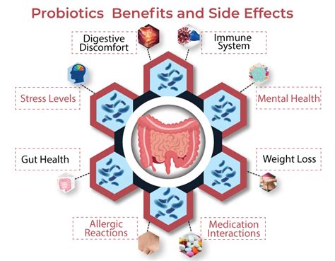 Unlock The Power Of Probiotics The Benefits And Side Effects Revealed