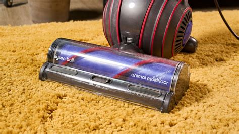 Dyson Ball Animal 3 vacuum review: a super-sucky upright | TechRadar