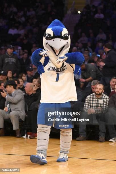 Creighton Mascot Photos and Premium High Res Pictures - Getty Images