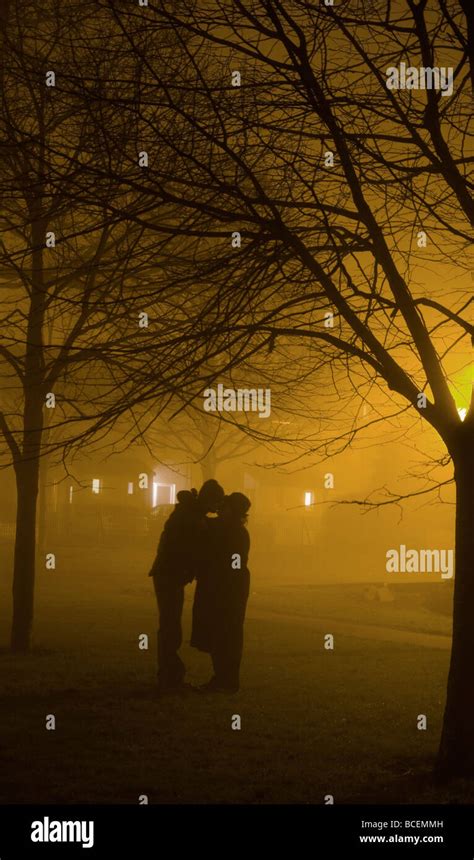 A Couple Kissing Under A Tree In A Park On A Foggy Night Stock Photo