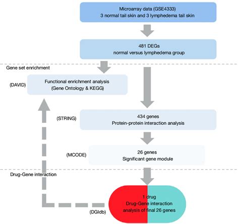 Framework Of The Data Analyses Degs Differentially Expressed Genes