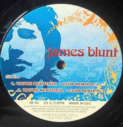 James Blunt - You're Beautiful (2006, Vinyl) | Discogs