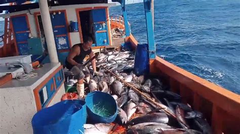 Pescadores Do Norte Deram Um Show Na Pesca Do Atum Youtube