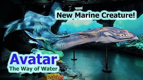 Avatar 2 The Way Of Water Beautiful Marine Creature Ilu Revealed