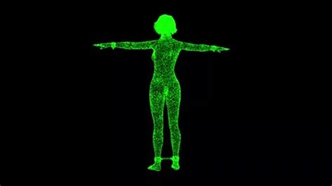 Naked Female Body Stock Videos Royalty Free HD K Videos