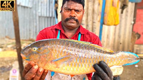 Kasimedu Speed Selvam Rare Parrot Fish Cutting In Kasimedu K