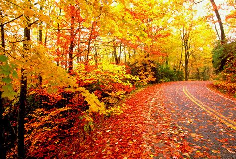 Fall Aesthetic Tumblr Desktop Wallpapers - Top Free Fall Aesthetic