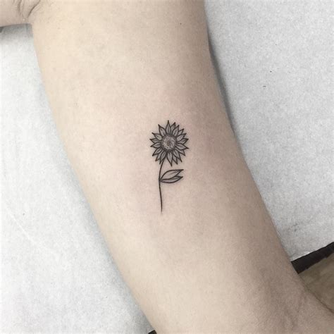 Tatuagens Minimalistas Girassol Best Succulent Ideas