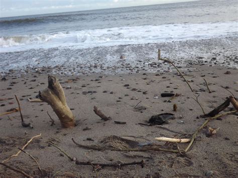 .:Stonehaven Beach 3:. by murphycory on DeviantArt