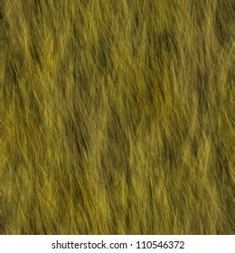 Hay Seamless Texture Stock Illustration 110546372 | Shutterstock