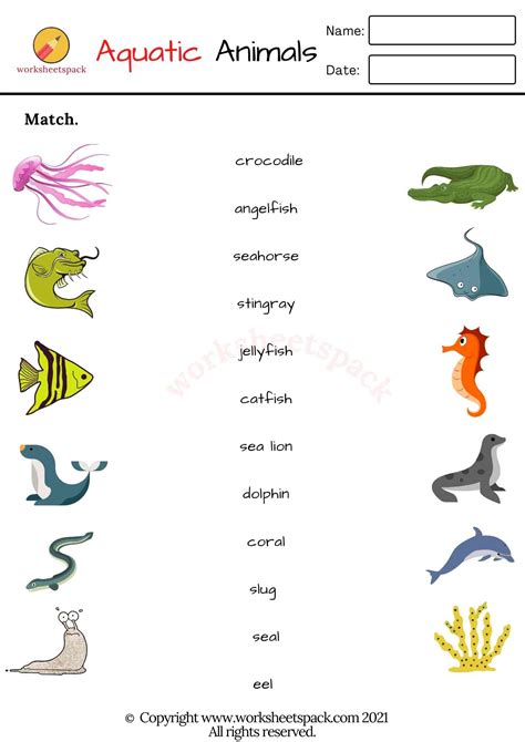 Aquatic Animals Worksheets Pdf Worksheetspack