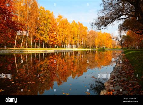 autumn in city park Stock Photo - Alamy