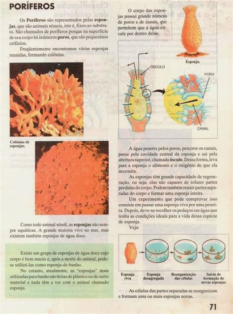 JORNAL PONTO 10 03 14