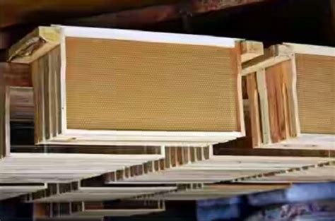 Как выглядят рамки для улья House Lift, Driftwood Crafts, Shed Storage ...