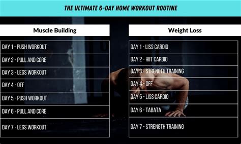 6 Day Workout Routine at Home with PDF - The Fitness Phantom