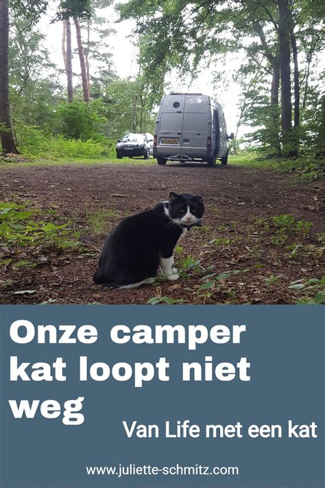 Onze Camper Kat Loopt Niet Weg Artofit