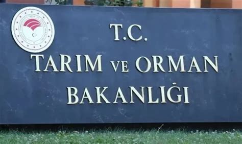 Tarim Ve Orman Bakanli I Na Personel Alimi Bakan Yumakl Duyurdu