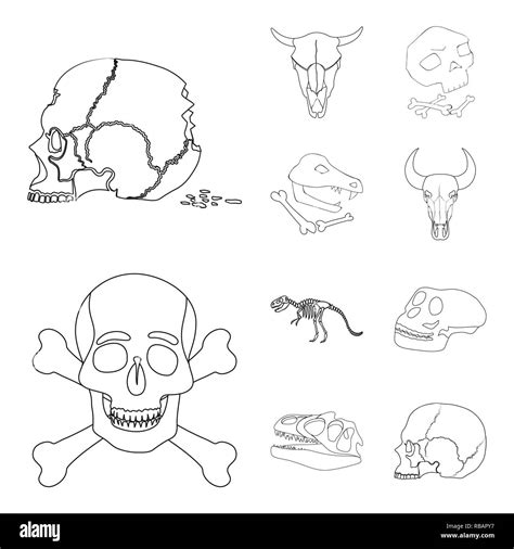 tattoo,anatomy,hell,medical,pirate,poison,bull,human,piracy,skeleton,character,creepy,halloween ...