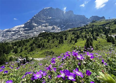 Top Rated Attractions Places To Visit In Switzerland Healthy