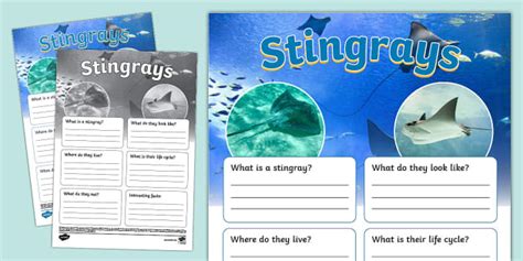 Stingray Fact File Template Profesor Hizo Twinkl