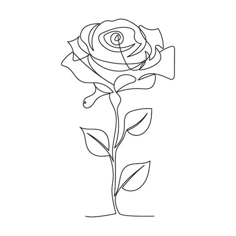 Una L Nea Continua Flor De Rosa Dibujada A Mano Ilustraci N Vectorial