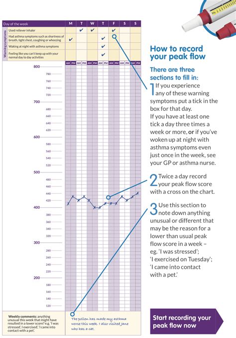 Peak Flow Meter Chart Interpretation At Marie Gibson Blog