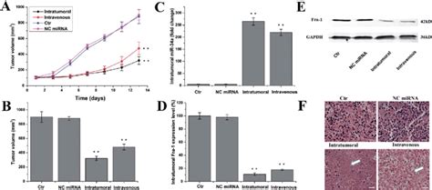 In Vivo Antitumor Activity A Tumor Volumes Were Measured At Shown