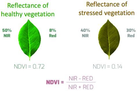 Example Of The Use Of A Normalized Difference Vegetation Index Ndvi Download Scientific Diagram