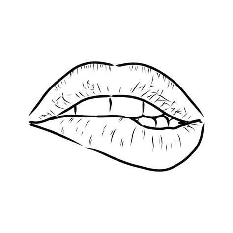 Lip Outline Drawing