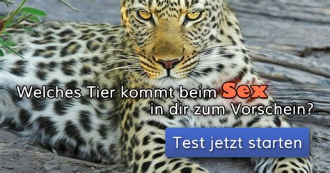 Welches Tier Kommt Beim Sex In Dir Zum Vorschein