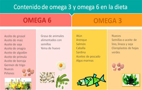 Vopred nehoda priložiť beneficios omega 3 Devour nevyspytateľný milovaný