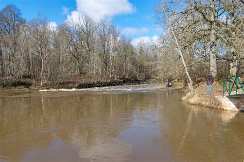 Spring Landscape With River And Naked Trees On The River Bank Stock Photo Image Of Nature