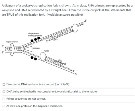 Solved A Diagram Of A Prokaryotic Replication Fork Is Shown