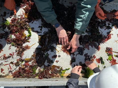 Zoology Botany Program 2025