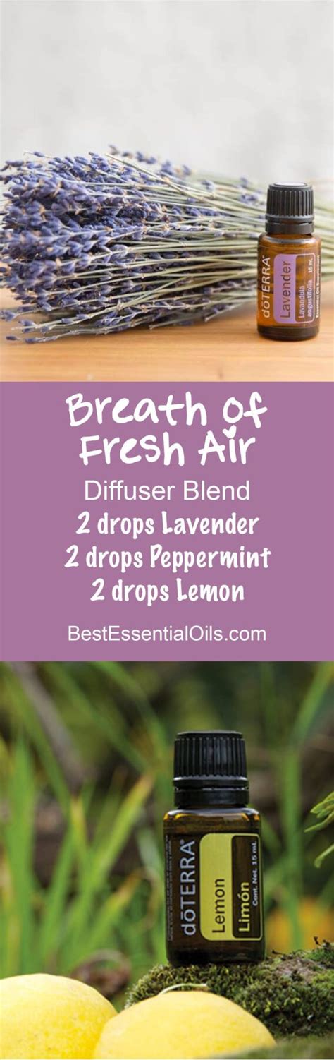 Breath Of Fresh Air Doterra Diffuser Blend Lavender Essential Oil Uses Peppermint Essential