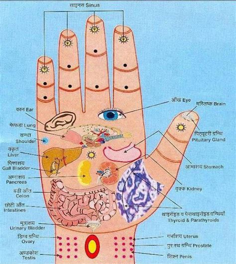 My Own Thoughts Acupressure Reflexology Charts Collection