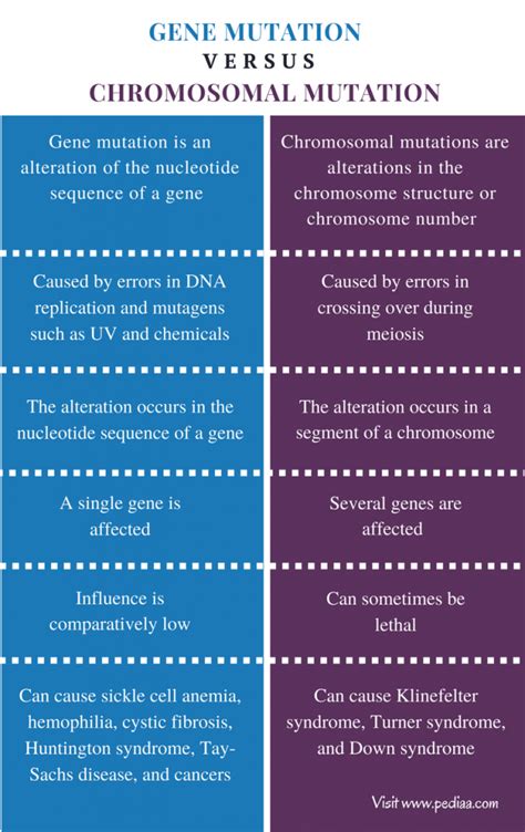 Difference Between Gene Mutation and Chromosomal Mutation | Definition ...