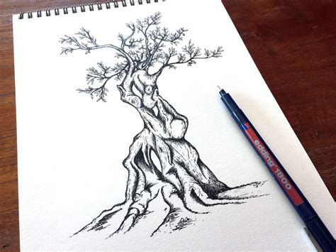 Olive Tree Pen Sketch Olive Branch Illustration Olives Drawing