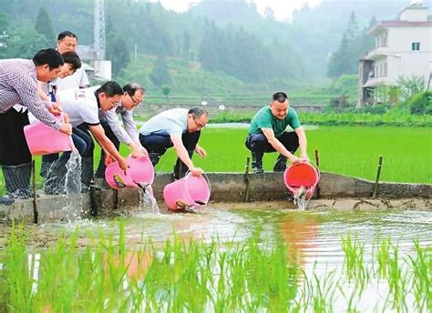 泸州老窖脱贫攻坚结硕果 乡村振兴担使命四川在线