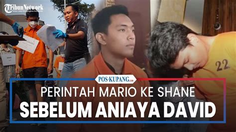 Perintah Mario Dandy Kepada Shane Sebelum Aniaya David Gue Mau Mukulin